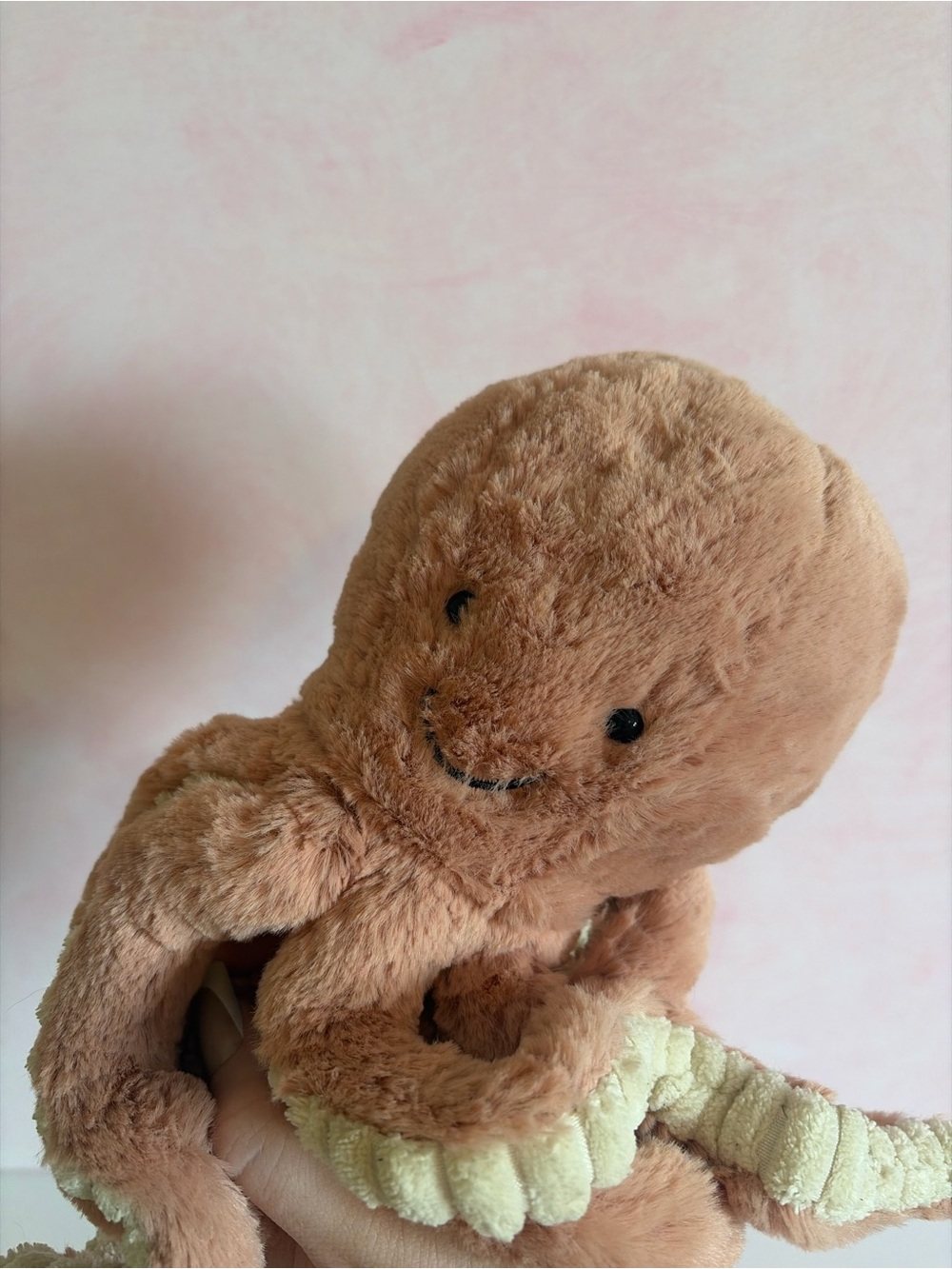 Little Odell jellycat bnwot